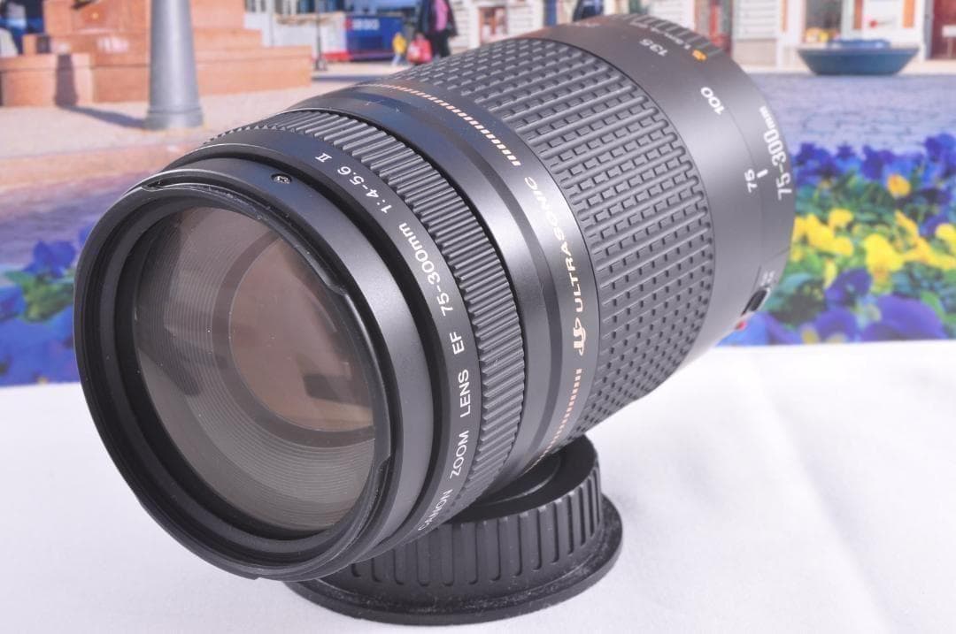 望遠レンズ Canon キヤノン 迫力の75-300mm レンズフード付き！