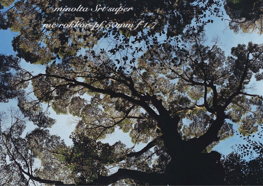 ★ミノルタ srt super＊レンズセット★完動品＊美品＊初期保証★作例多数！