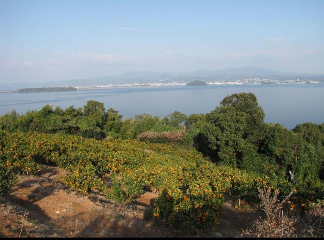 Canon PowerShot SX10 IS デジカメ　コンデジ　キャノン