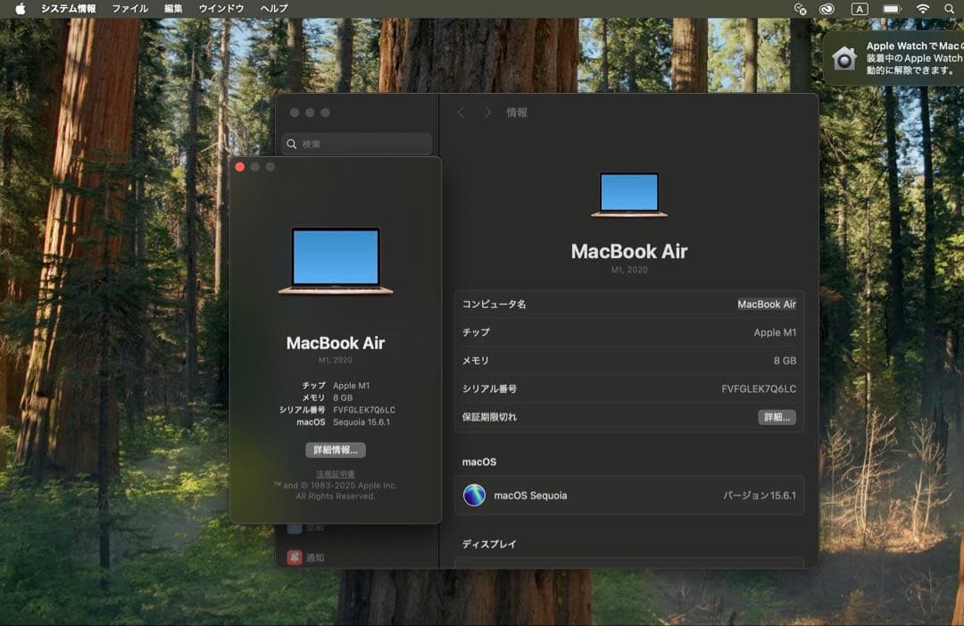 Apple MacBook Air (M1, 2020) ゴールド