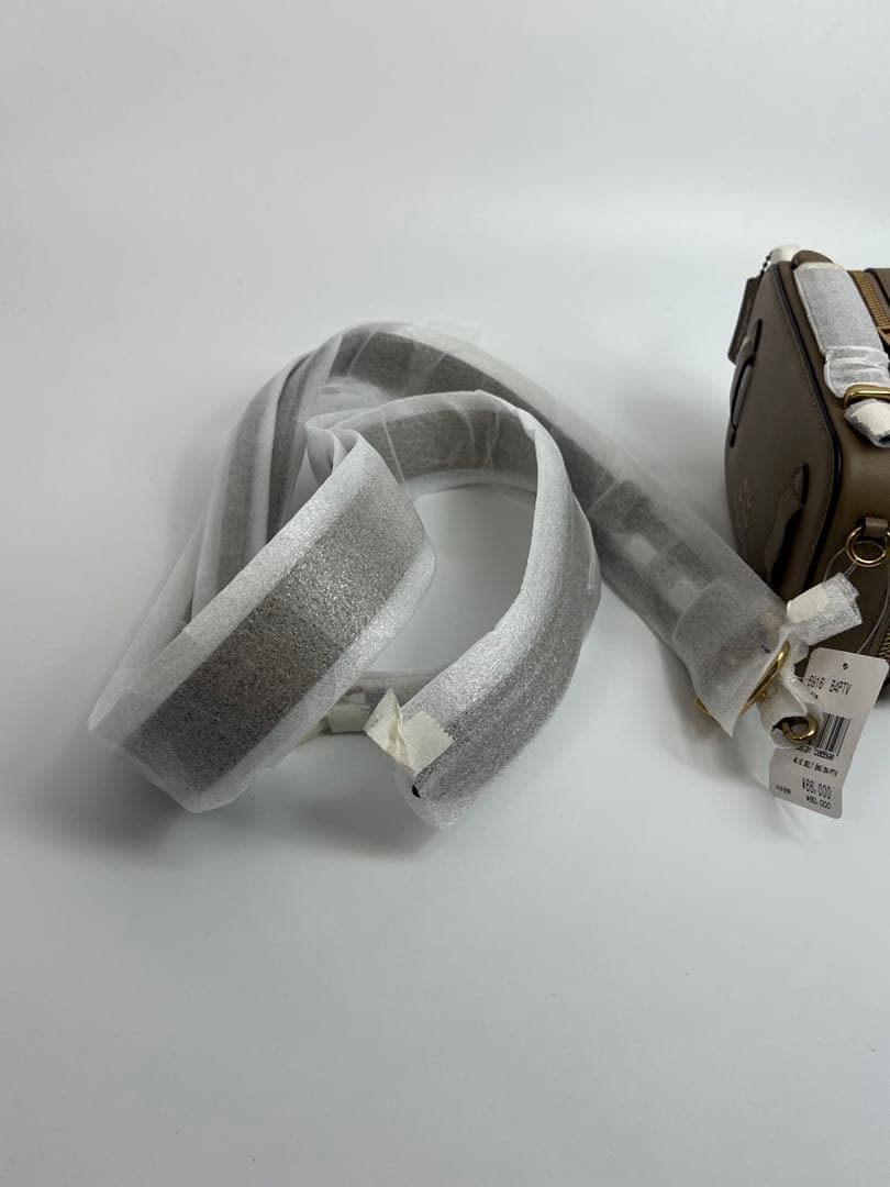 ✨新品・未使用品✨COACH コーチ　バスキア コラボ アリー ベルトバッグ