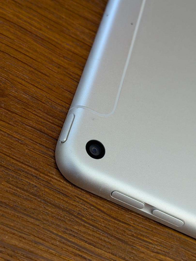 iPad mini 第5世代 Wi-Fi+Cellular 256GB