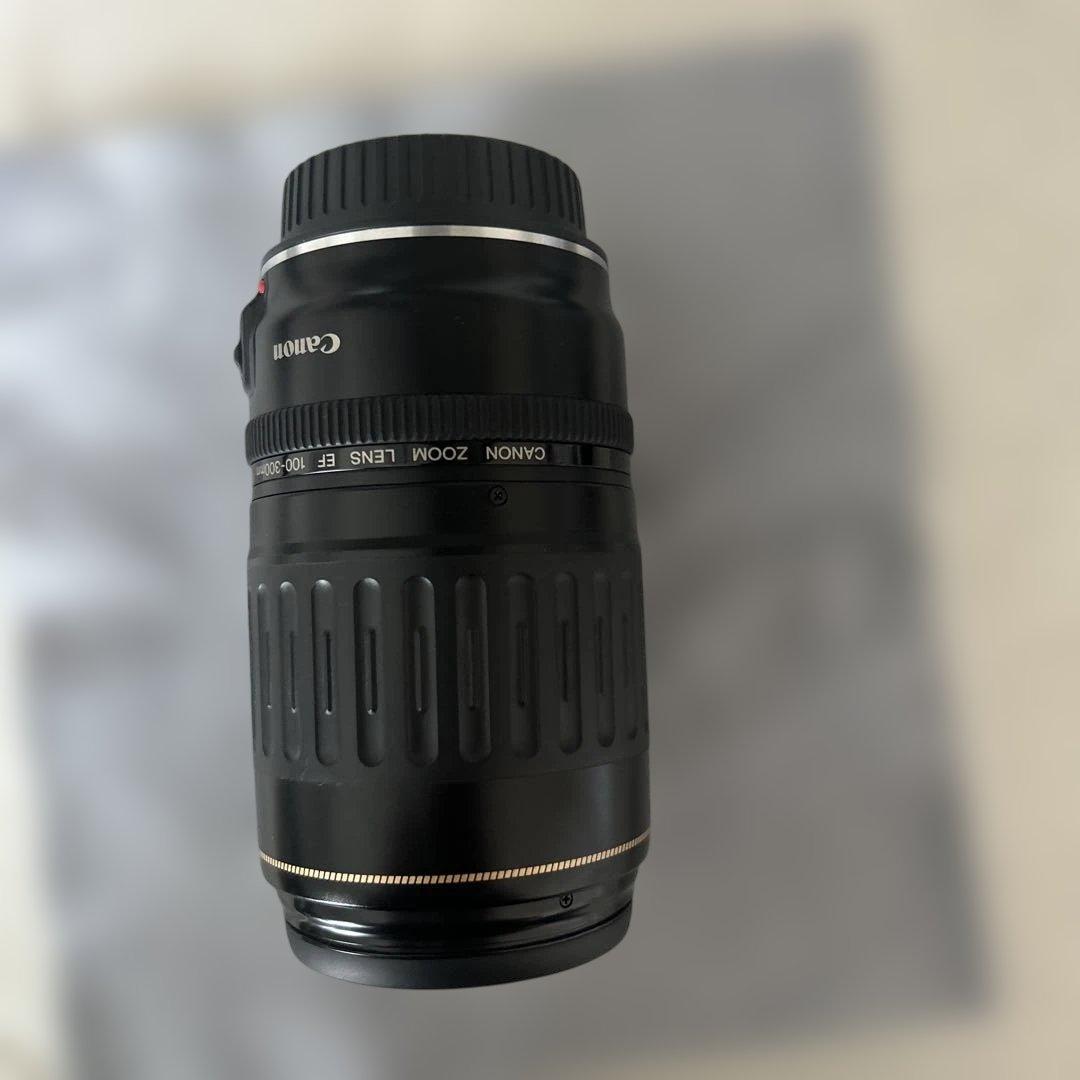 レンズ(ズーム) Canon zoom lens EF 100-300