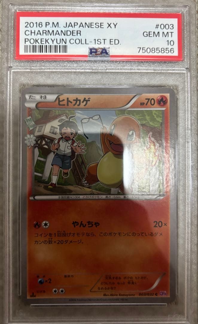 ヒトカゲ　psa10
