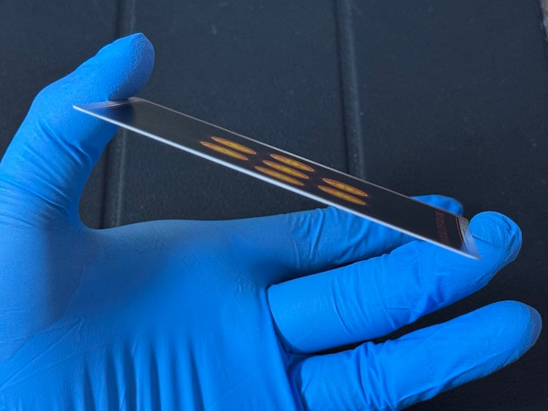 フュージョンワールド マンガブースター01 scr パラレル　孫悟空