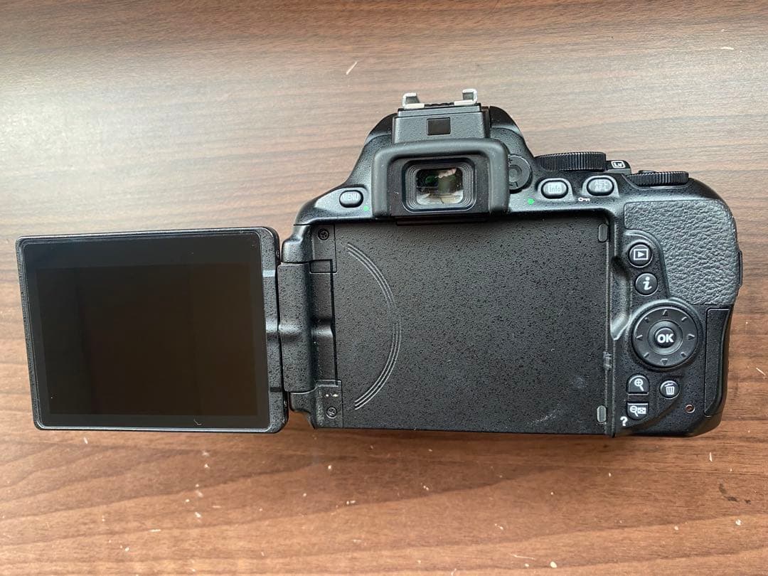 ★美品★Nikon ニコン D5600＋ AF-P 18-55 レンズキット