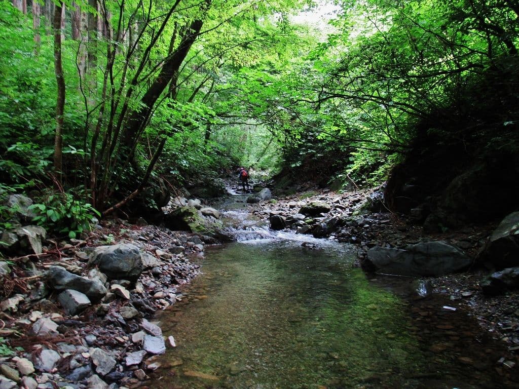 レンズ(ズーム) SONY FE 16-35mm F4 ZA OSS SEL1635Z