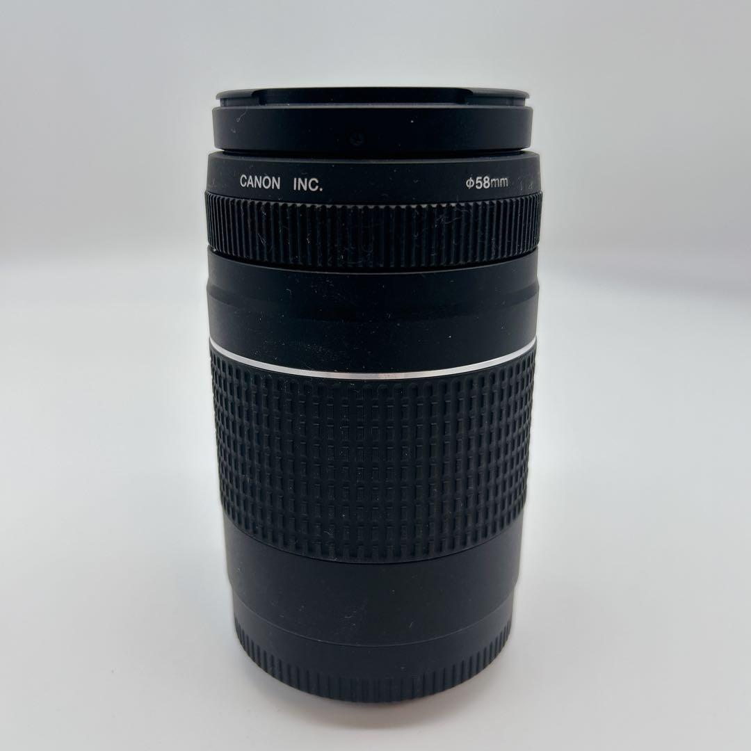 【美品】CANON 望遠レンズEF 75-300mm 1:4-5.6 Ⅲ