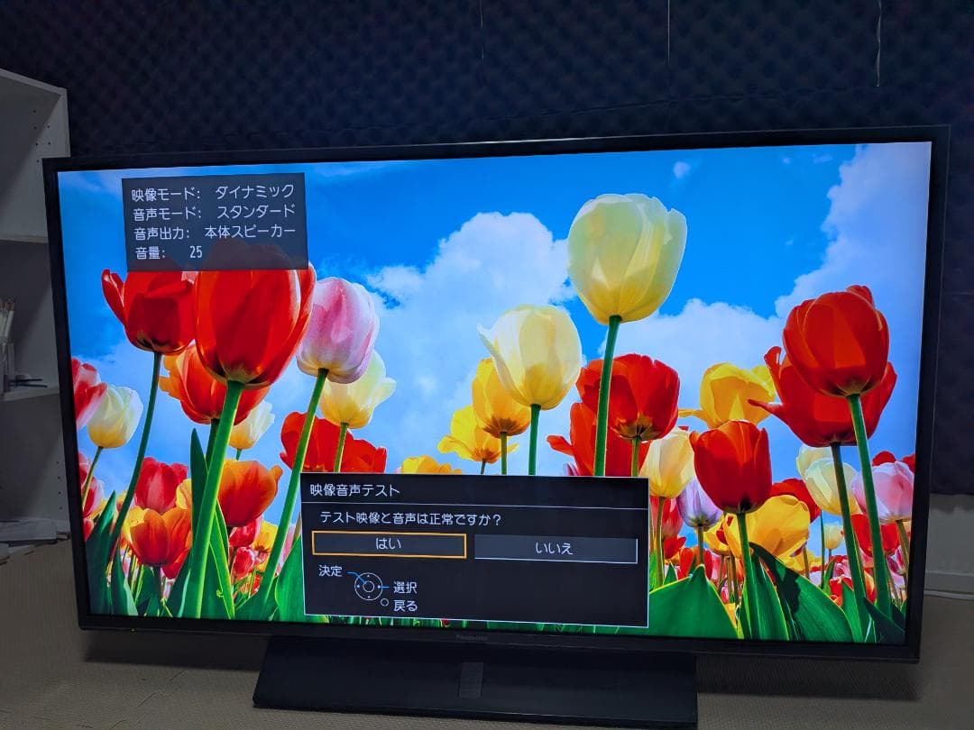 Panasonic　VIERA　43FX750 (2018年製)
