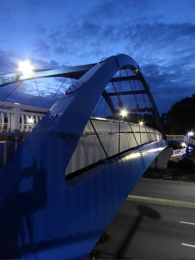 LUMIX DMC-TZ70 光学30倍ズーム バッテリー×3 SDカード付き