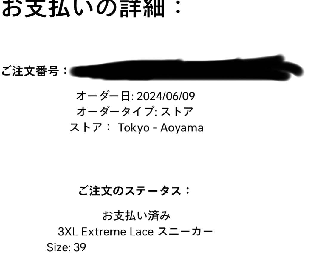 靴 BALENCIAGA EXTREME lACE 3XL