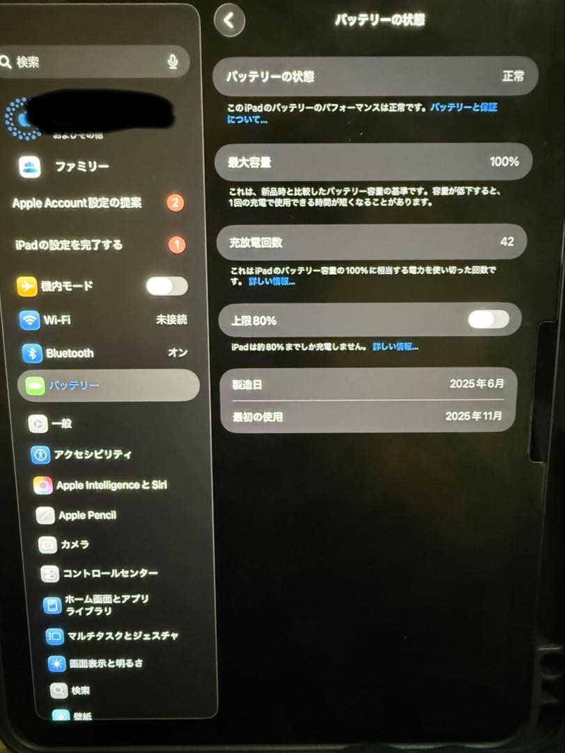 iPad Pro 第7世代11インチバッテリー状態100%