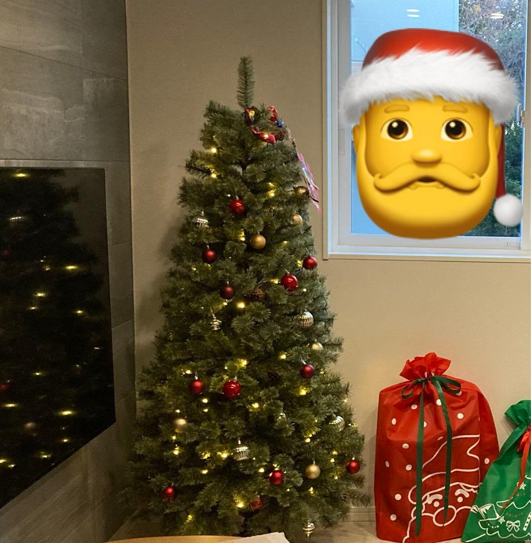 Alsace アルザスクリスマスツリー　180