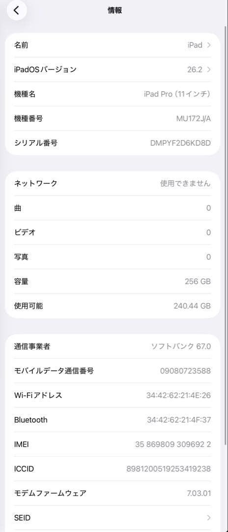 Apple iPad Pro (11インチ) 256GB シルバー　SIMフリー