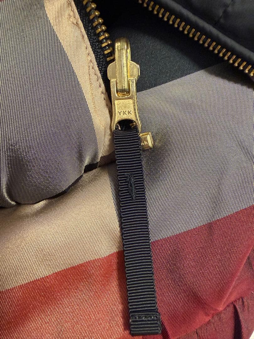 ブルーレーベルクレストブリッジ　リバーシブルダウンジャケット