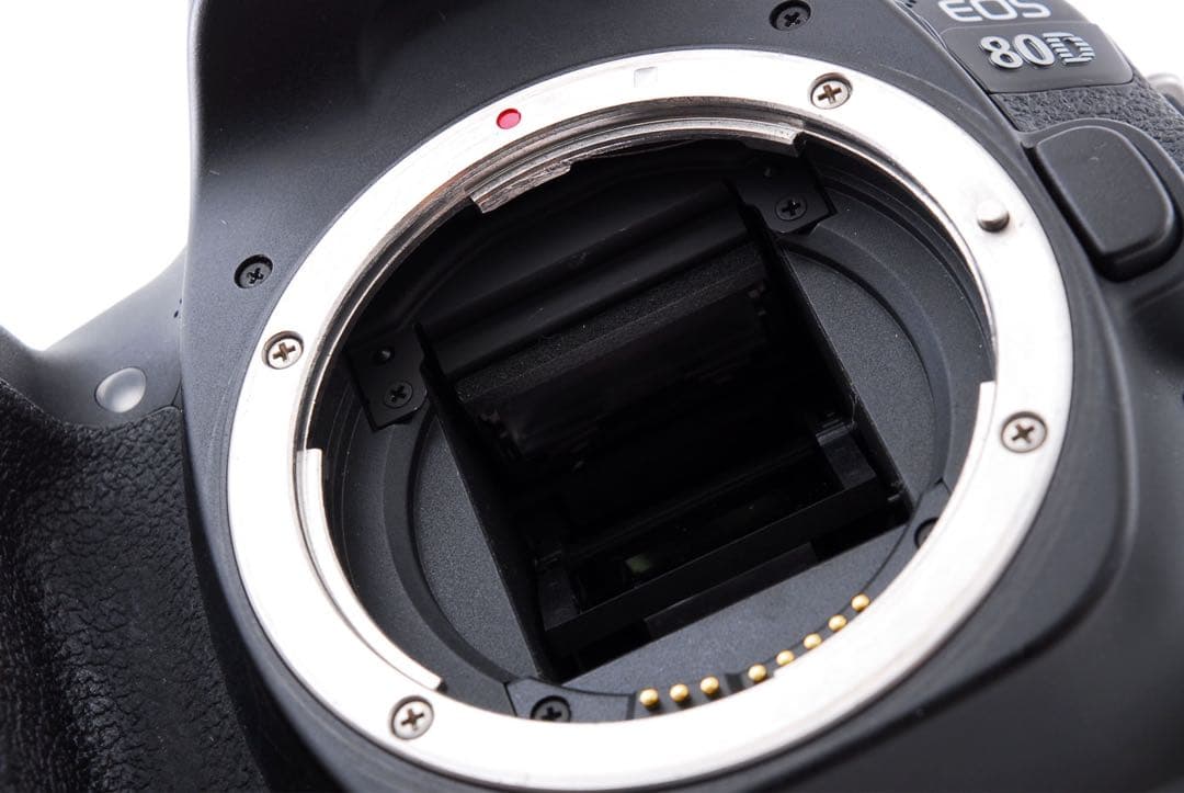 キヤノン Canon EOS 80D 標準&望遠ダブルレンズセット