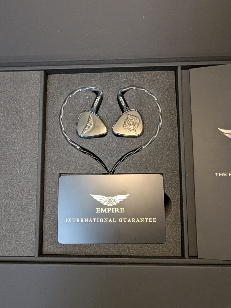 【期間限定】　超美品　Empire Ears Raven