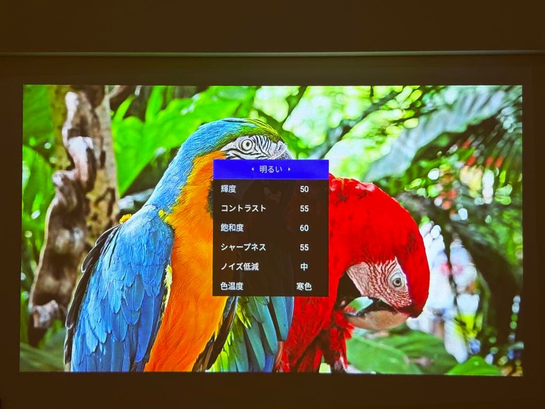はる　ポップインアラジン2