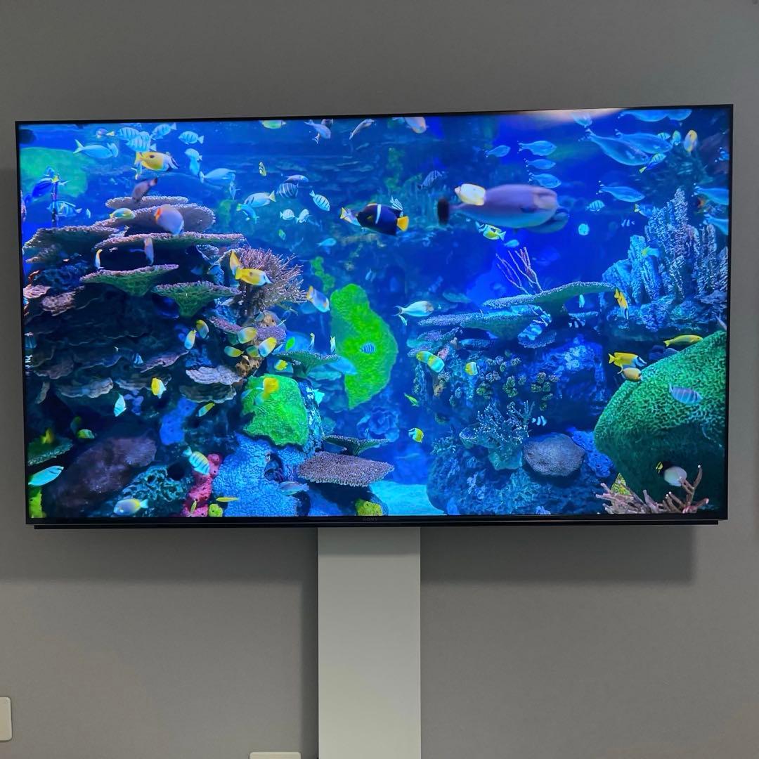 SONY 65インチ　XRJ-65X95J 4K液晶テレビ