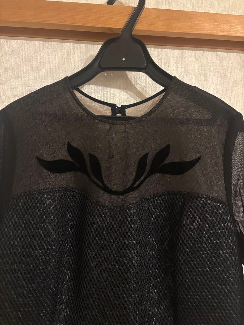 【ほぼ新品】タエアシダ　長袖チュール×フロッキーワンピースドレス Lサイズ