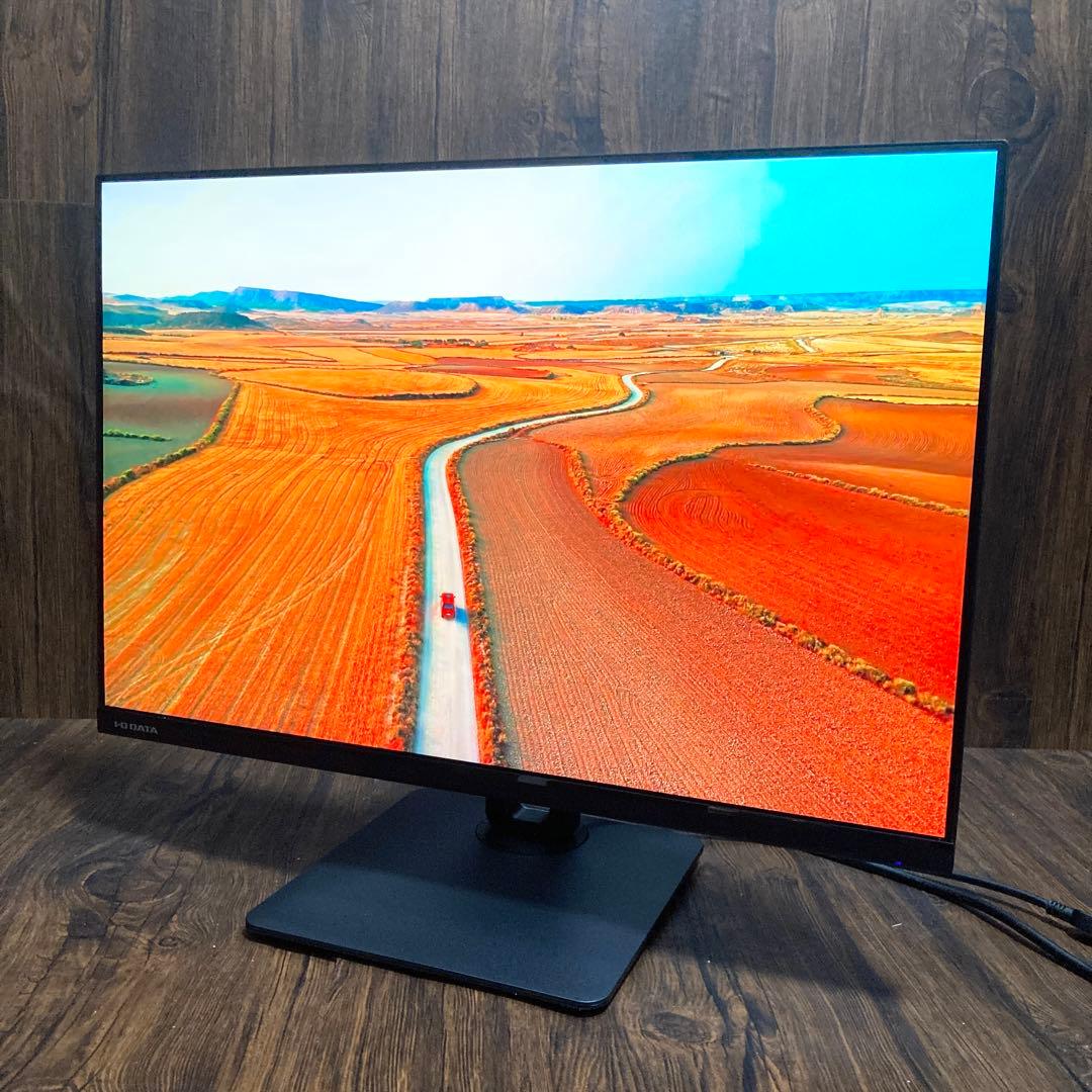 アイオーデータ機器 ワイドディスプレイモニター 25型 LCD-DX251EPB