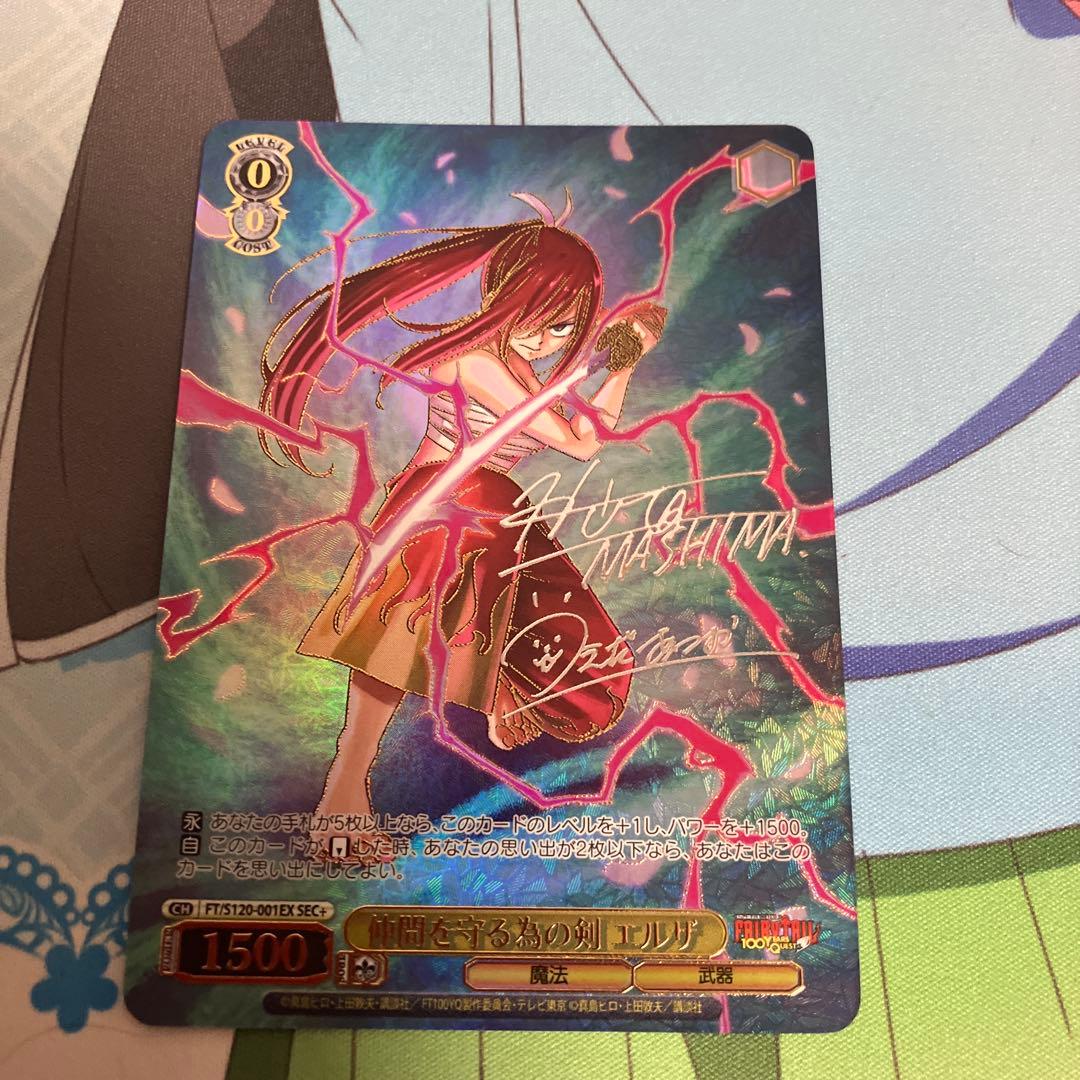 ヴァイスシュヴァルツFAIRYTAIL仲間を守る為の剣エルザSEC