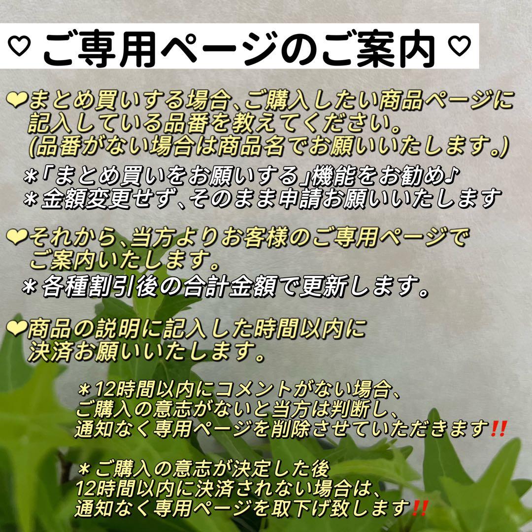 葉子様3点まとめ商品オイスターパールフックピアス　ペンダントトップ　蝶々ブローチ
