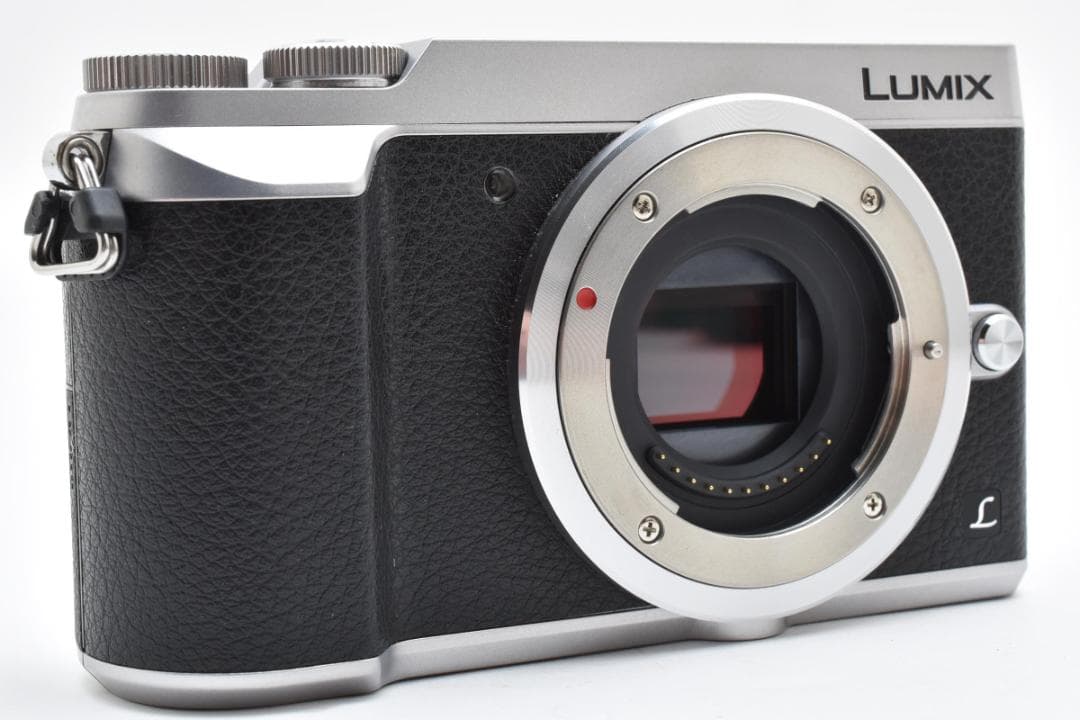 ゲッコー LUMIX DMC-GX7MK2 ボディ