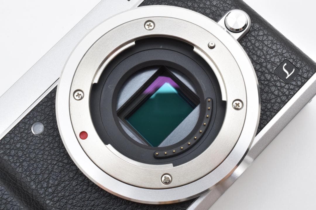 ゲッコー LUMIX DMC-GX7MK2 ボディ