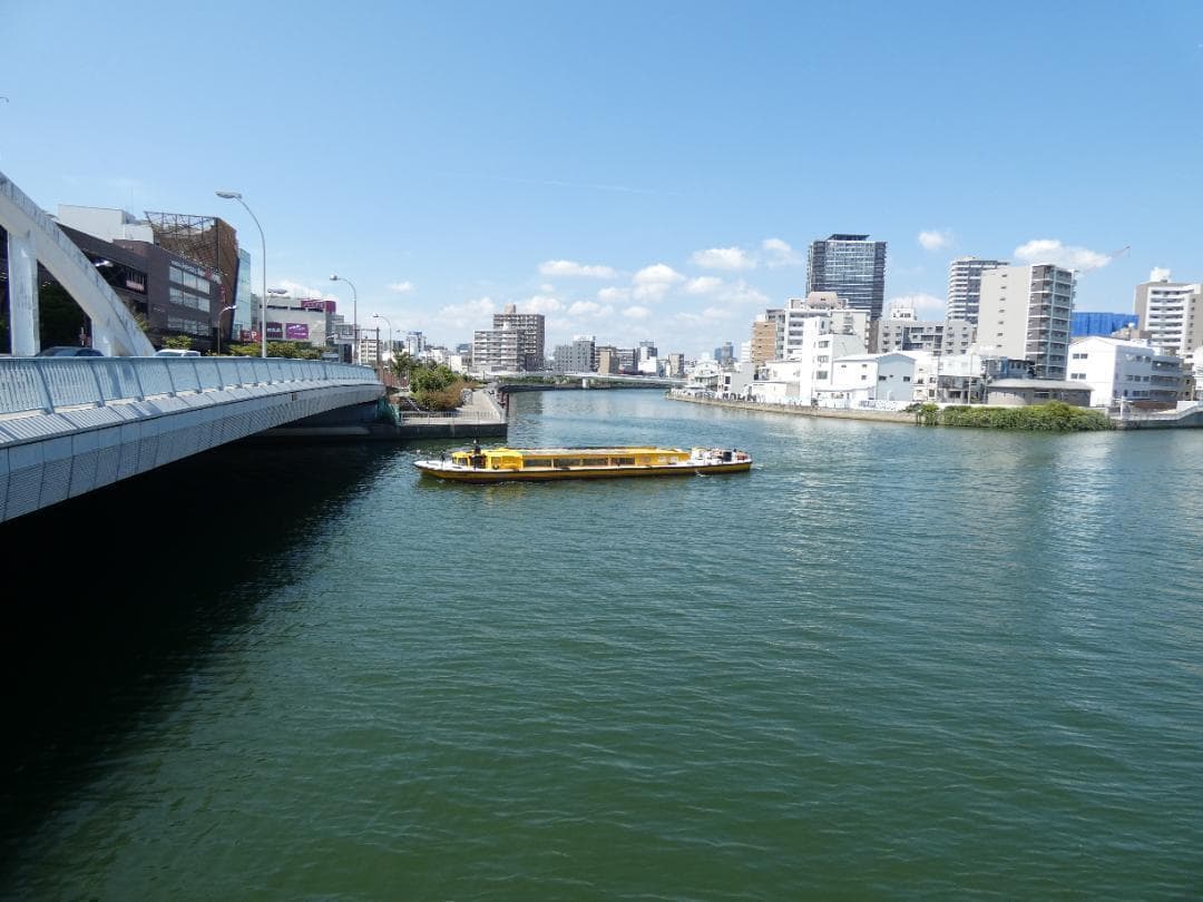 令和7年5月購入★PANASONIC パナソニック LUMIX DC-FZ85D