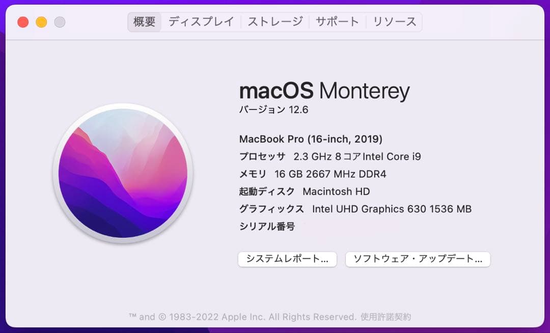 MacBook Pro 16インチ i9 16GB 1TB MVVK2J/A