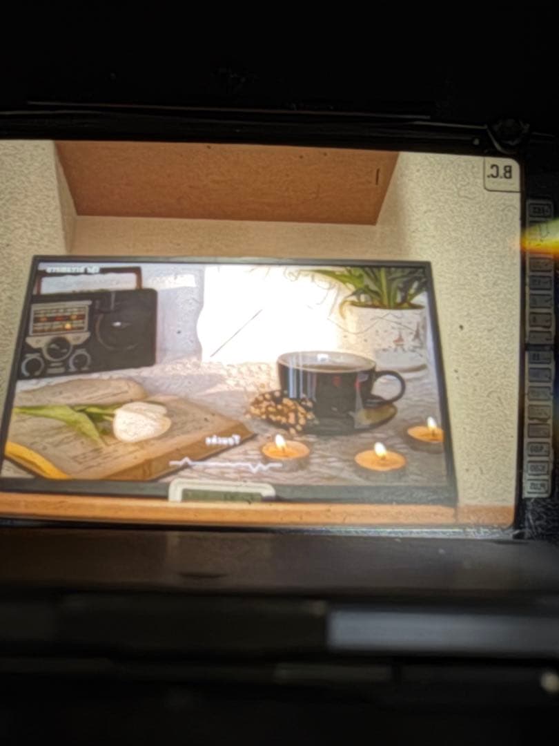 フィルムカメラ Rolleiflex SL2000 F motor