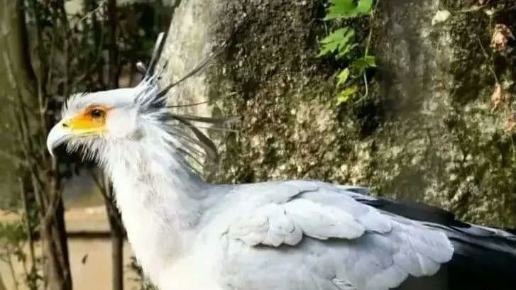 超極上美品 M.ZUIKO ED 40-150mm F2.8 PRO Olymp