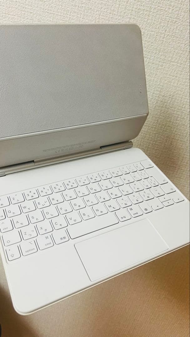 専用出品　Apple iPad Pro (11インチ) 第3世代 128GB