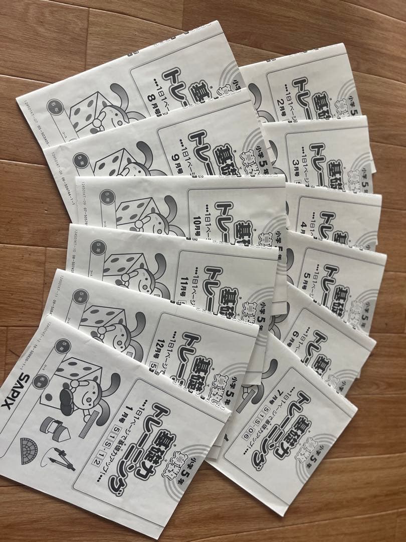 サピックス　算数　基礎力トレーニング　5年生