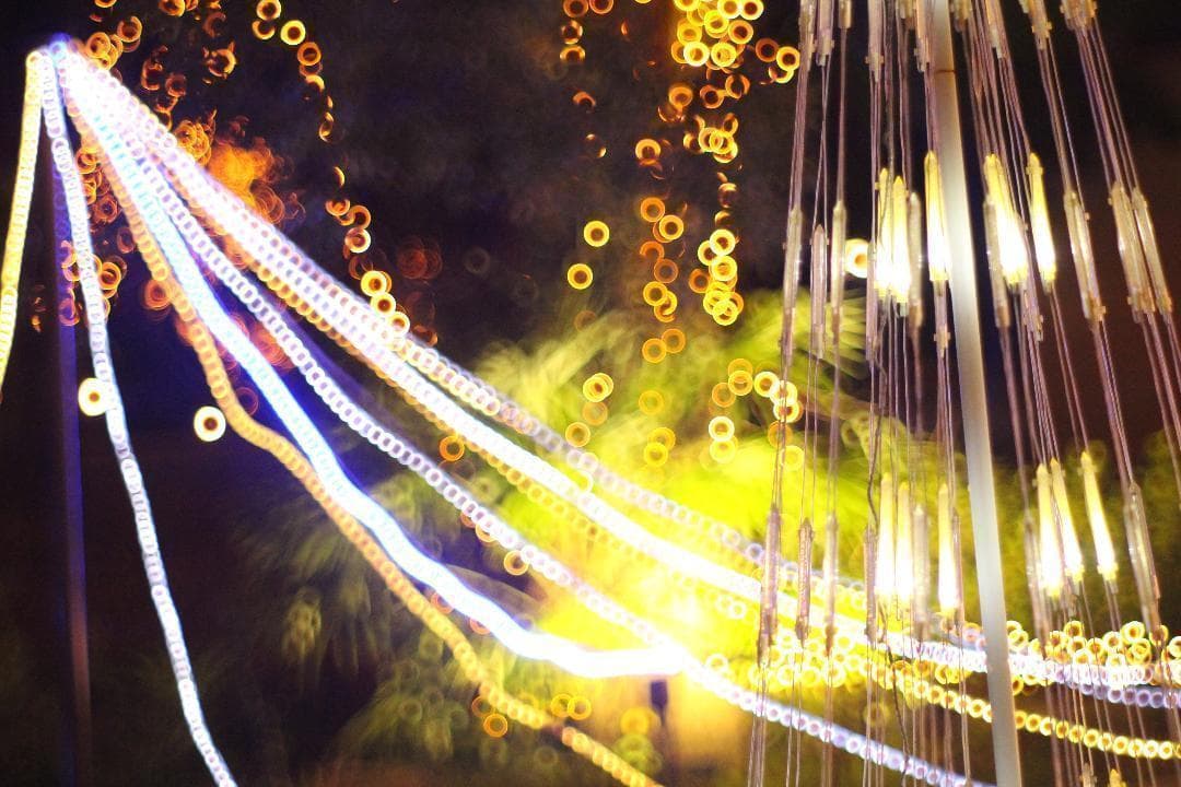 ◎宝石レンズ◎ PENTAX Super Takumar 55mm F1.8