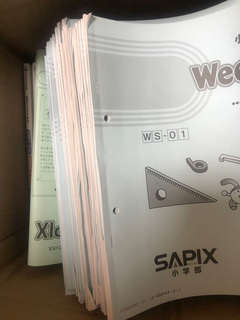 まゆ　SAPIX 2025年度　6年生　1年間分（1/3）