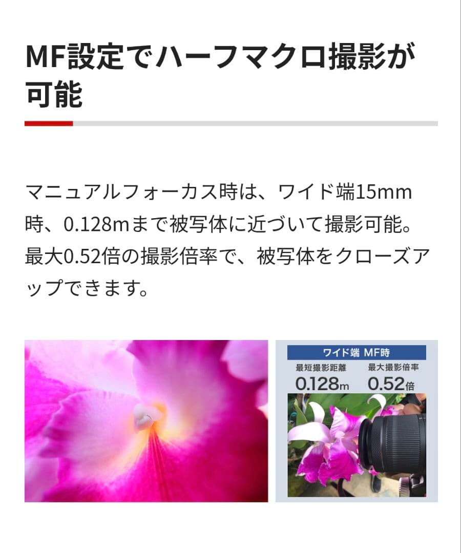 レンズ(ズーム) RF 15-30mm F4.5-6.3 IS STM