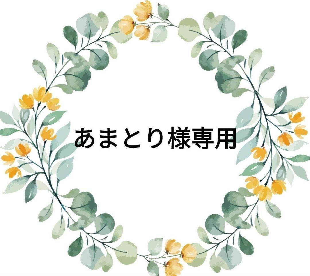 あまとり　乃依Ｌフルセット