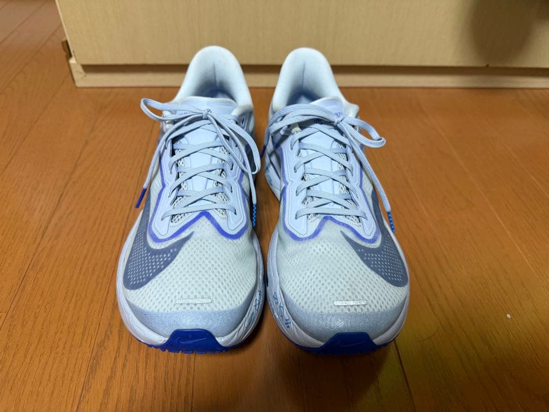 Nike ズームフライ6 28cm