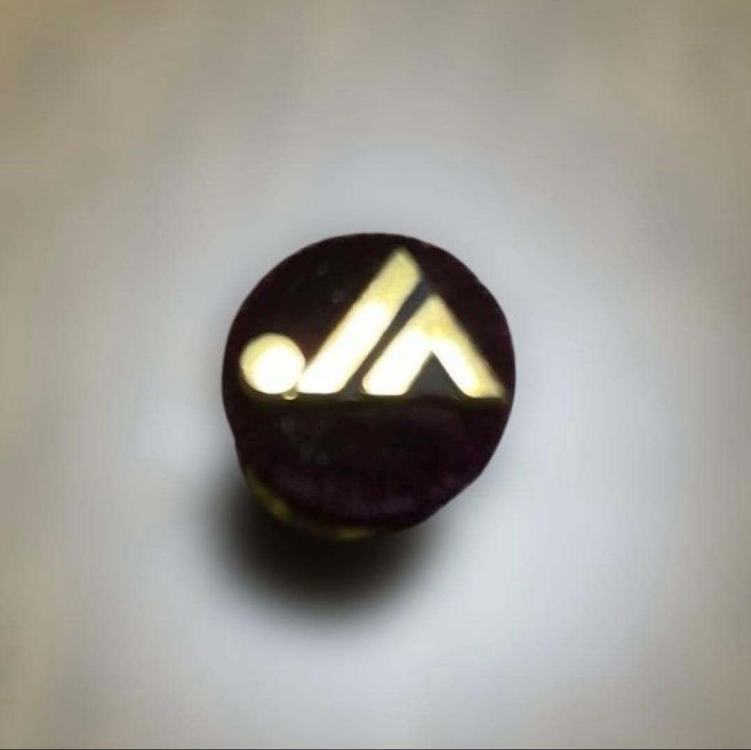 JA 農業協同組合 徽章 会長表彰ゴールドバッチ