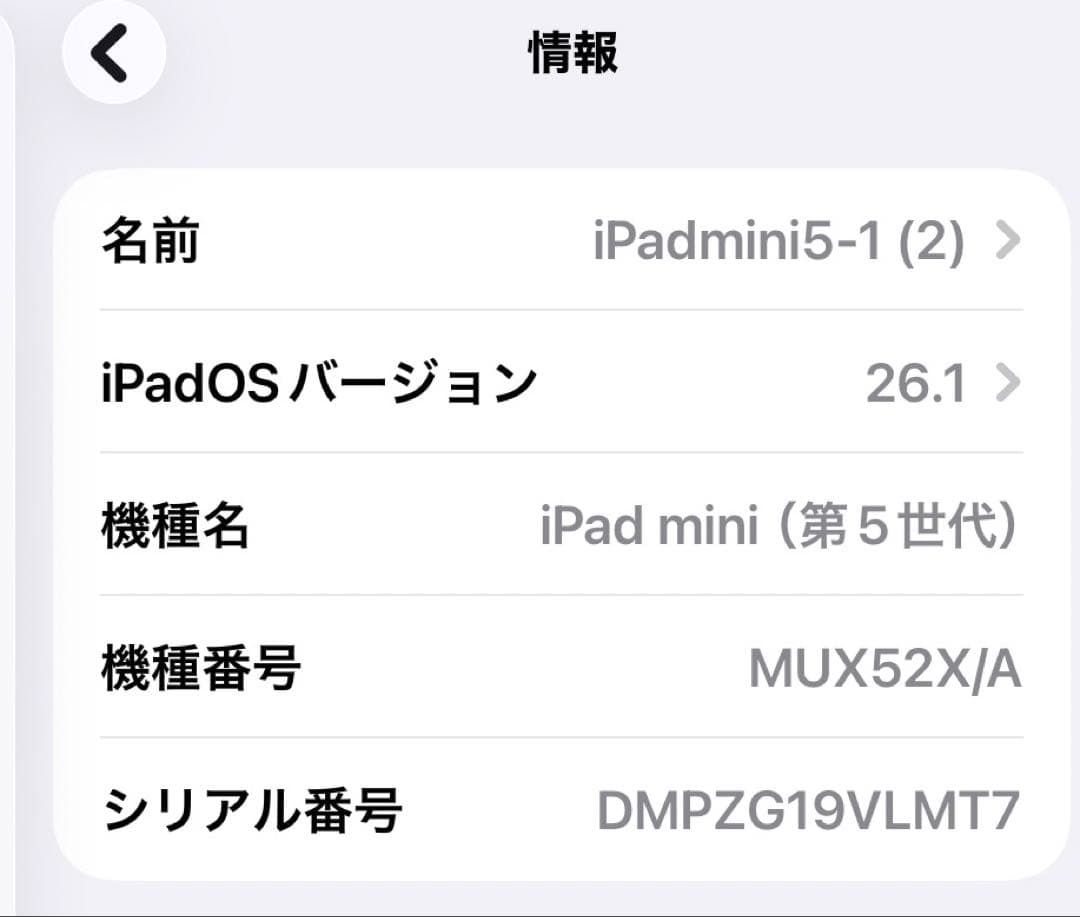 iPad mini5　Cellularモデル　64GB スペースグレイ