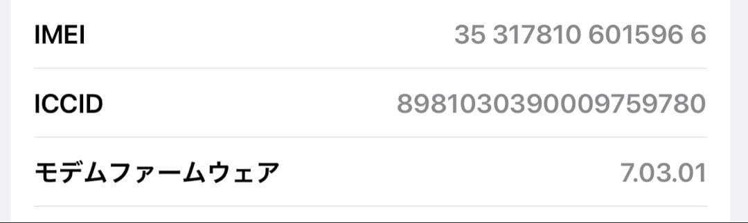 iPad mini5　Cellularモデル　64GB スペースグレイ