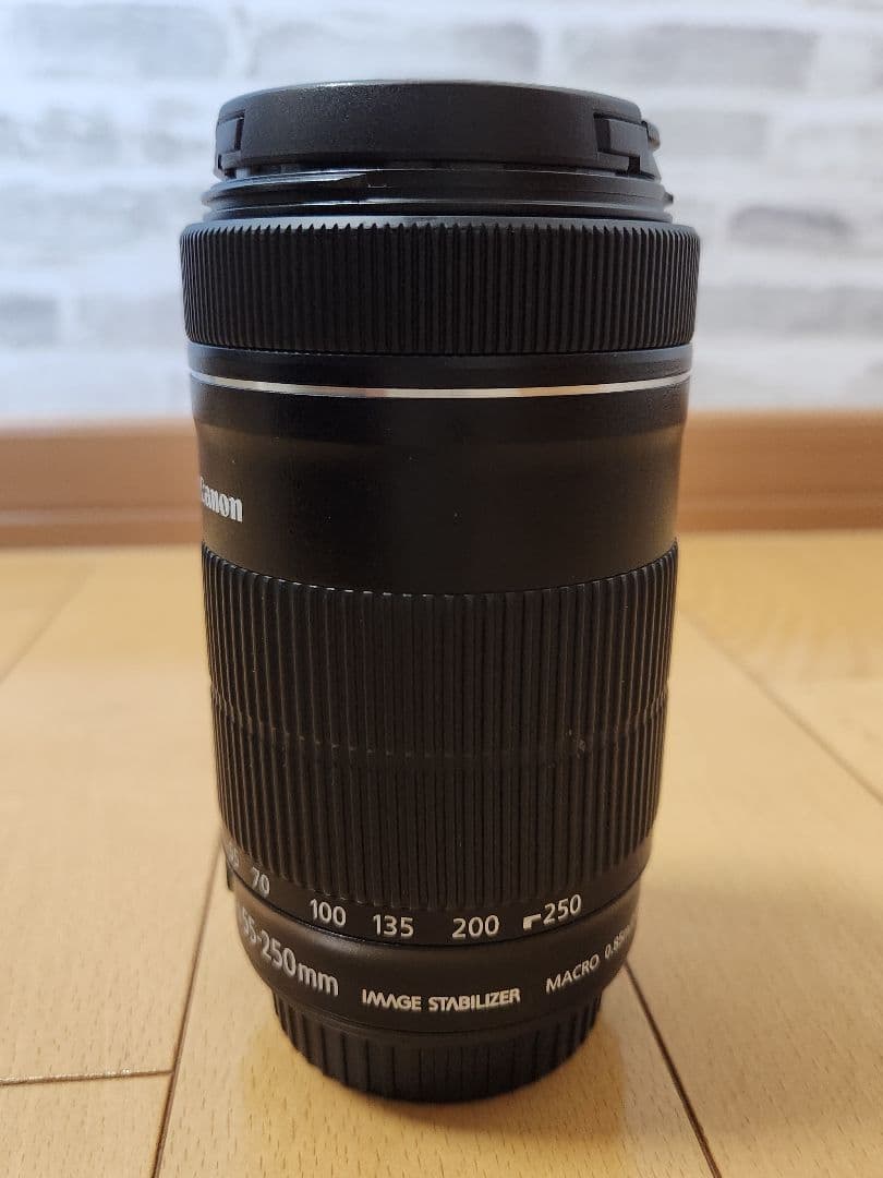 EF-S 55-250/4-5.6 IS STM　canon ズームレンズ