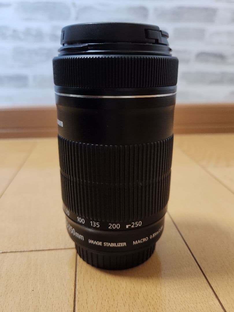 EF-S 55-250/4-5.6 IS STM　canon ズームレンズ