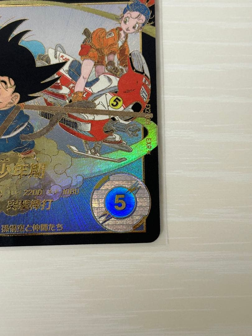 ドラゴンボールスーパーダイバーズ　孫悟空少年期　exr パラレル