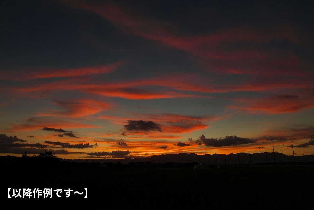 【最終価格】Tokina SD 16-50mm F2.8 AT-X Pro