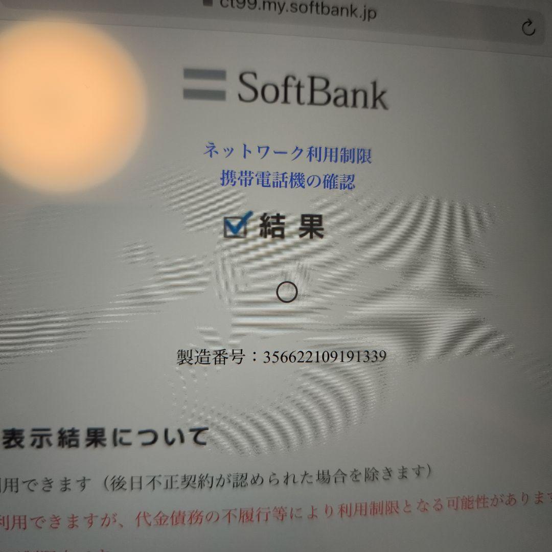 iPad Pro 11インチ256GB セルラーモデル　スペースグレイ 箱付き