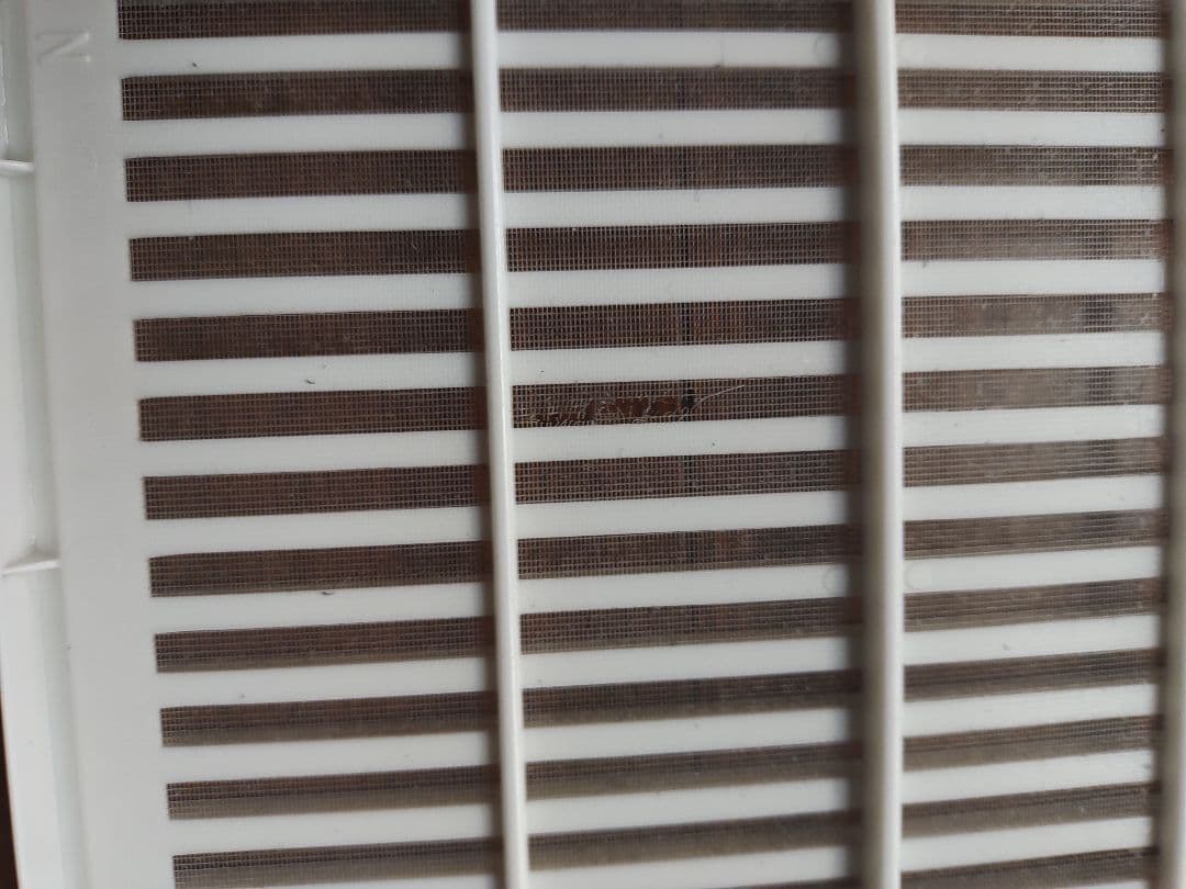 ★ダイキンMC55Z-W空気清浄機2023年製★