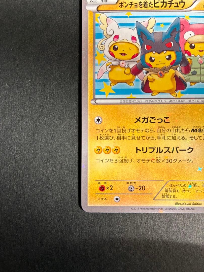 ポンチョを着たピカチュウ みく@ぷろふ確認お願いします専用